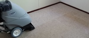 Carpet & Floor Care