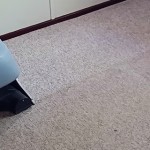 Carpet and Floor Care